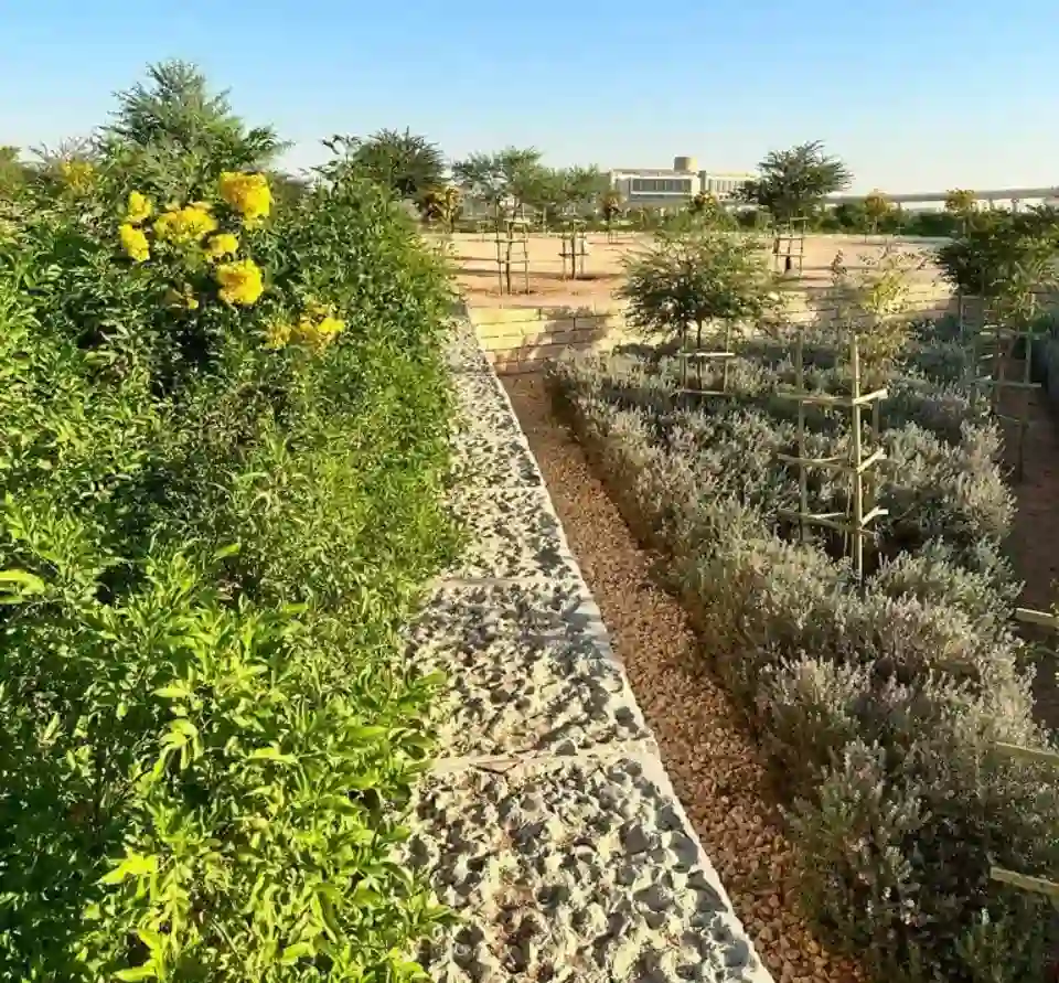 Landscaping in Riyadh