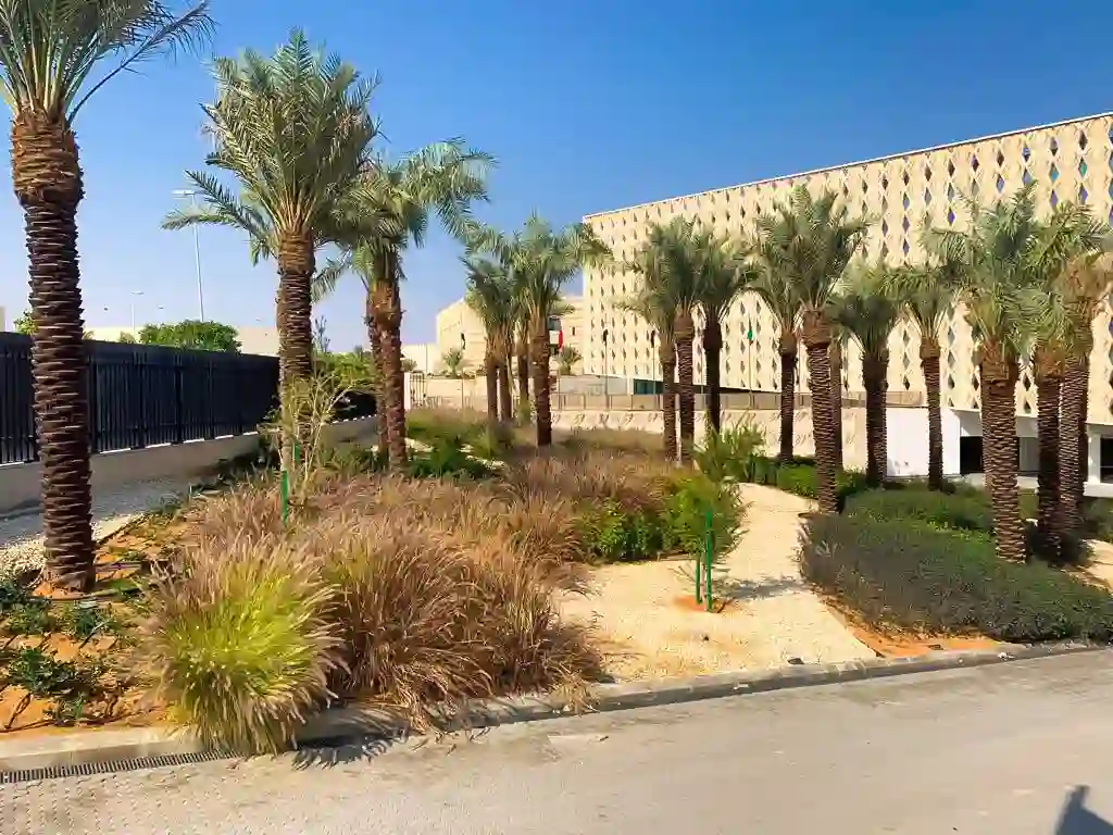 Shows a landscape with drip irrigation