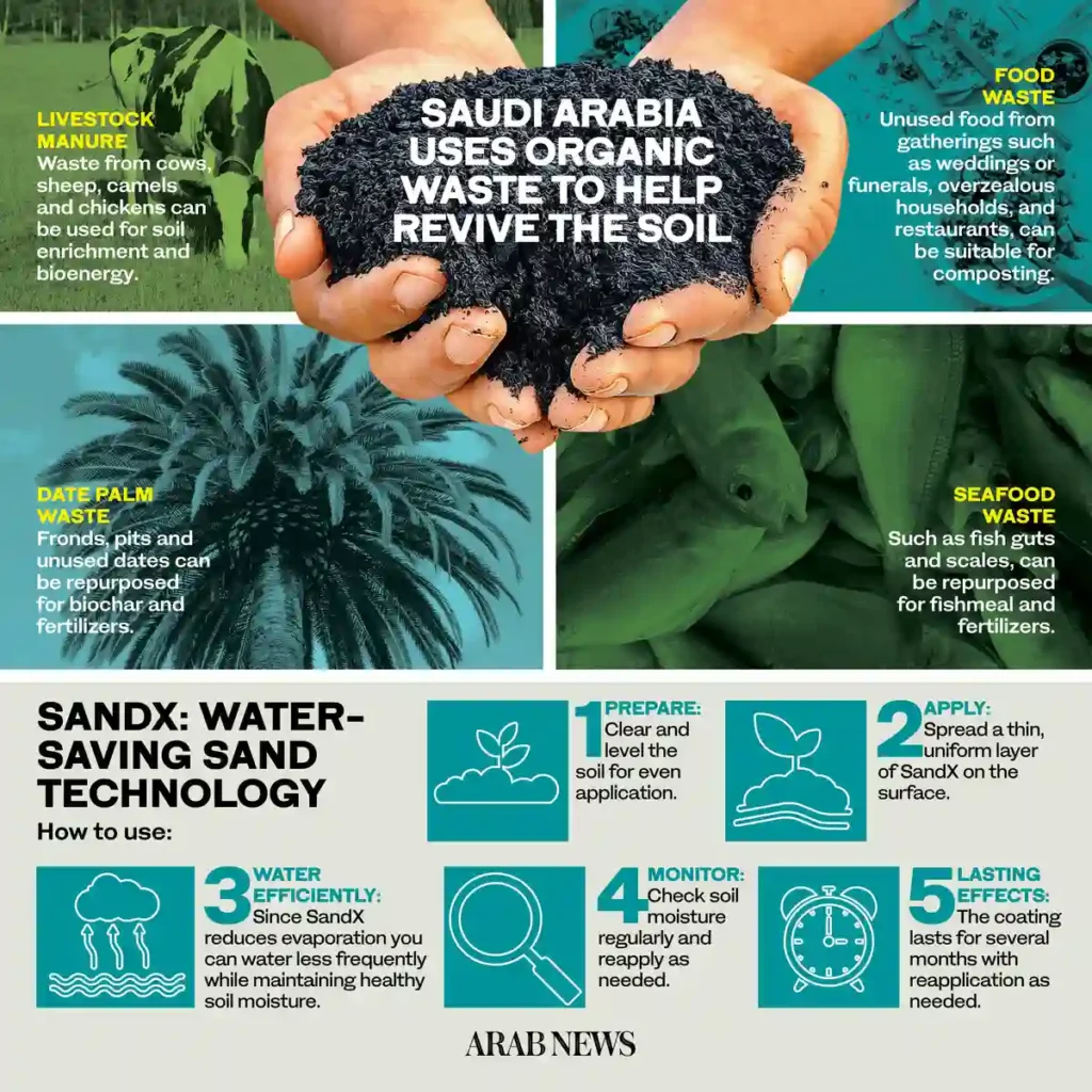 Water-Efficient Landscaping in Saudi Arabia
